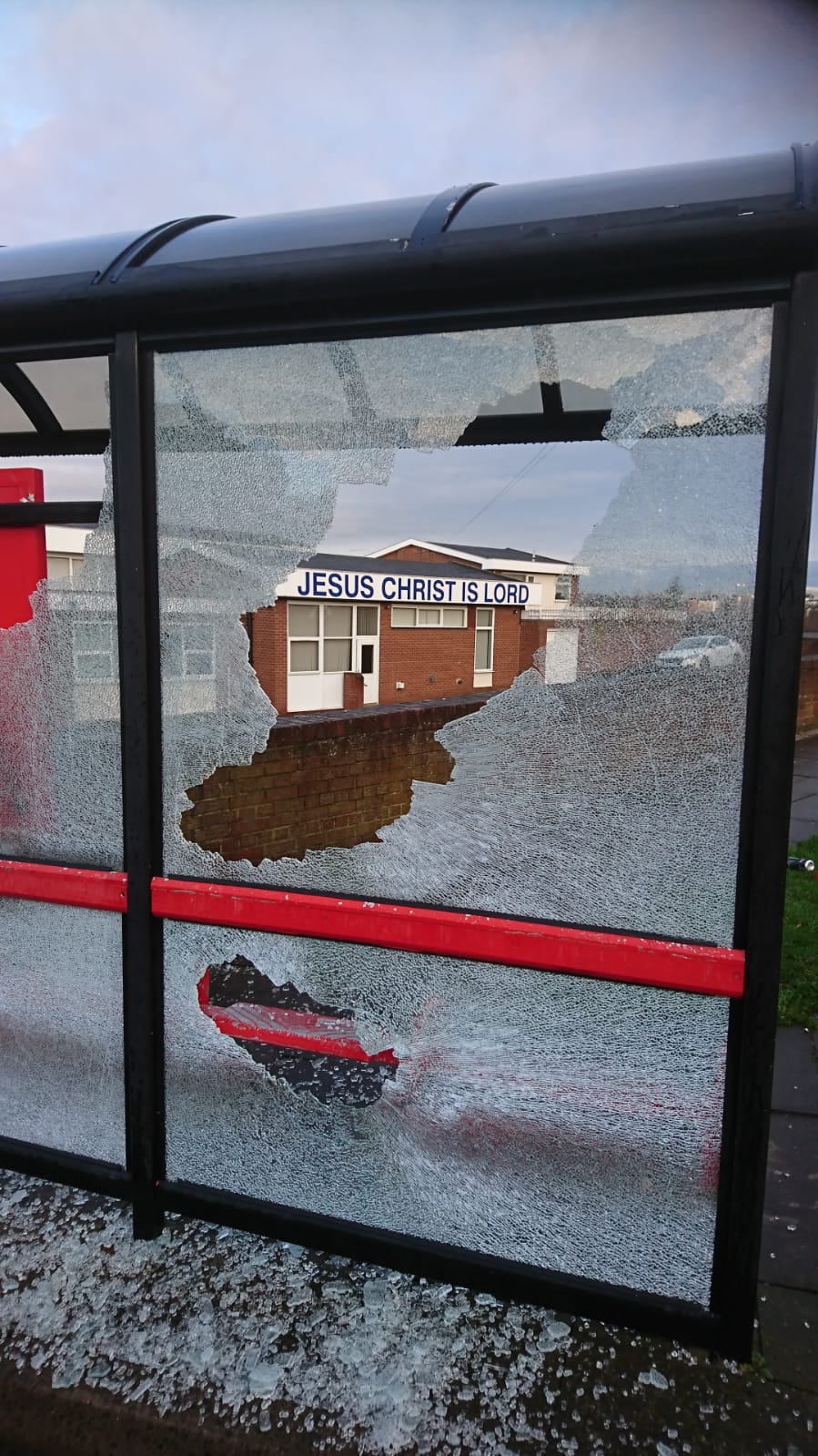 47572398_572245699882310_4210967218978029568_n (1)