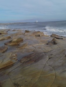 0db6bbf9-a1d2-44da-9b65-40542f271ee5